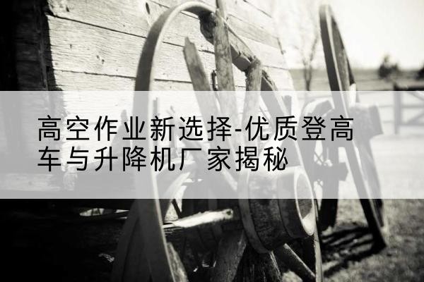 渌口登高车厂家-高空作业新选择-优质登高车与升降机厂家揭秘