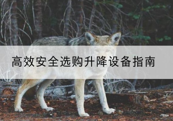 渌口升降货梯厂家推荐-*安全选购升降设备指南