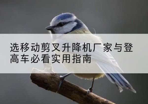 渌口电动升降机厂家-选移动剪叉升降机厂家与登高车必看实用指南