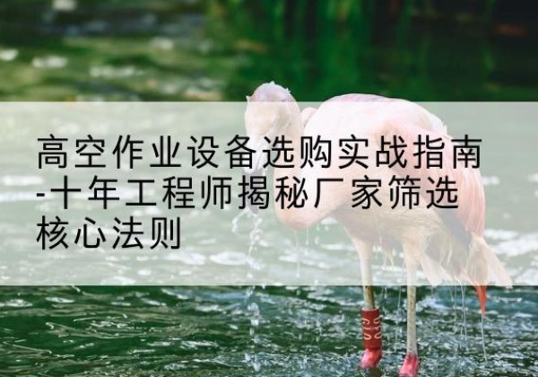 渌口剪叉式升降机厂家-高空作业设备选购实战指南-十年工程师揭秘厂家筛选核心法则