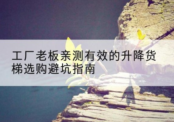 渌口升降货梯怎么选-工厂老板亲测有效的升降货梯选购避坑指南