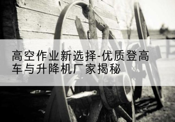 渌口登高车厂家-高空作业新选择-优质登高车与升降机厂家揭秘